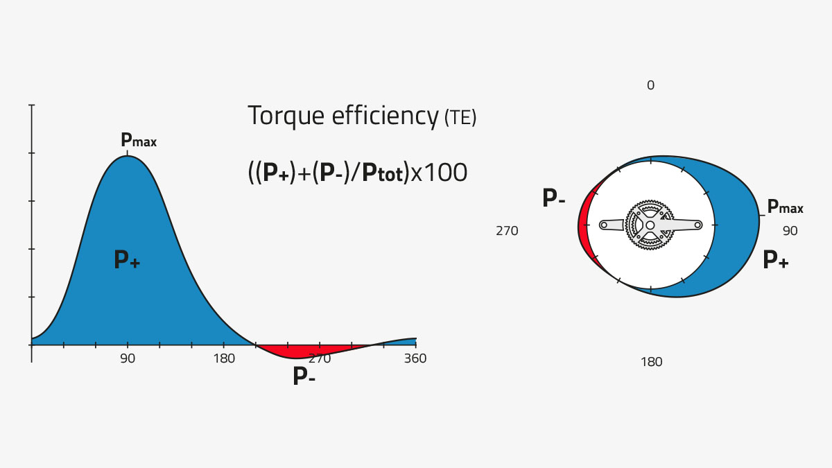 Discover all the Data Measured by the Power Meter Assioma